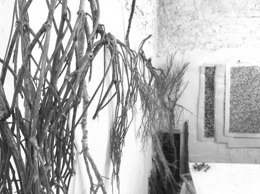 branches_2web